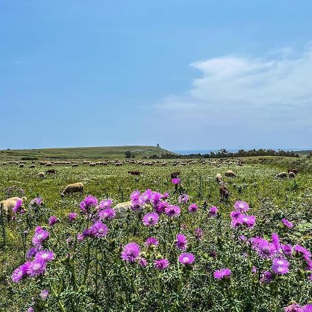 Casetta Degli Ulivi Uggiano La Chiesa Zewnętrze zdjęcie
